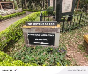 JSS DAY OF FAITH & NATURE